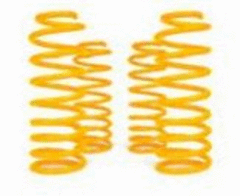 XGS COIL SPRINGS FRONT RAISED PAIR